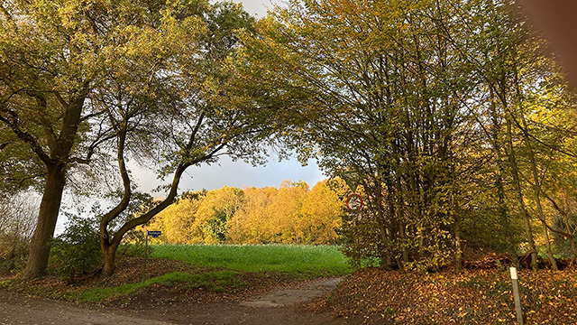 Erholungsgebiet Krickenbeck