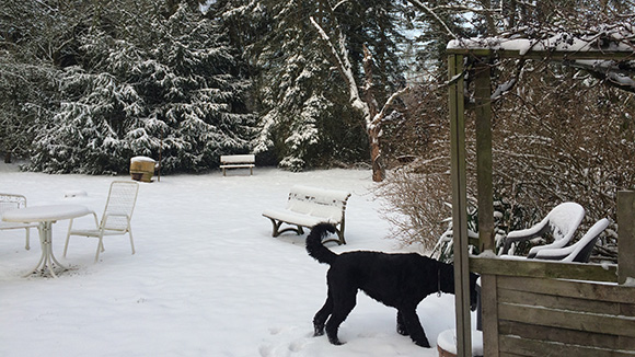 Scheune im Schnee